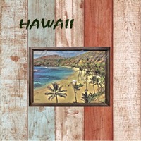 ハワイの風景☆Hanauma Bay No.240